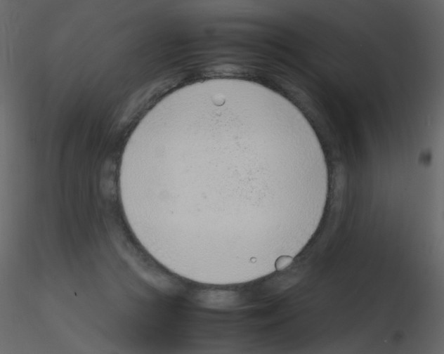 X0000115760361200912241734