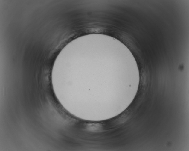 X0000115760363200912241734