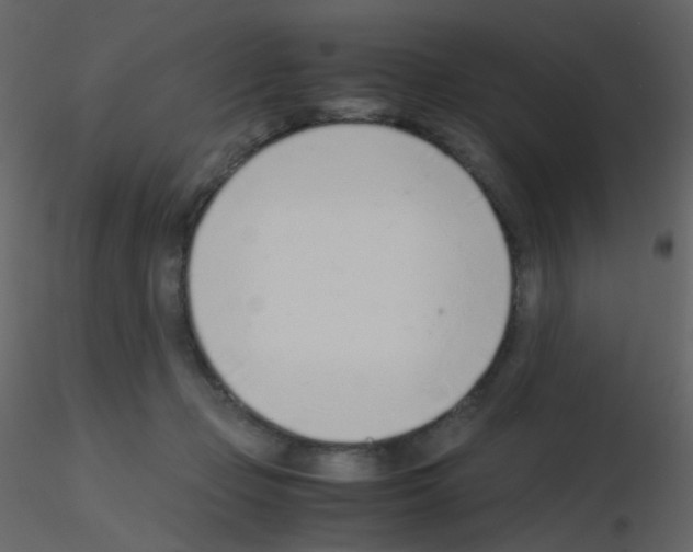 X0000115760365200912241734