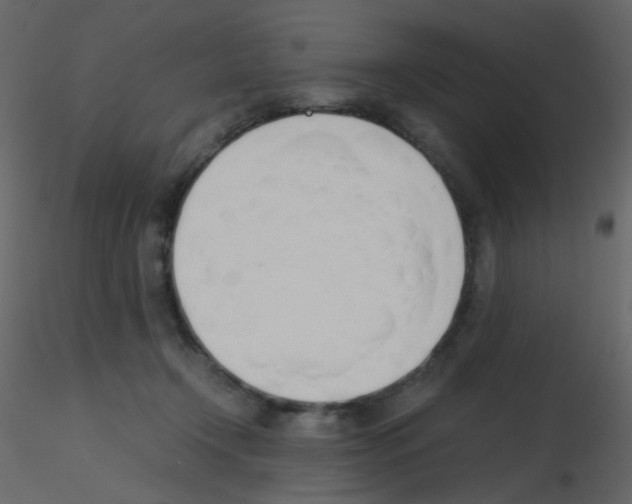 X0000115760366200912241734