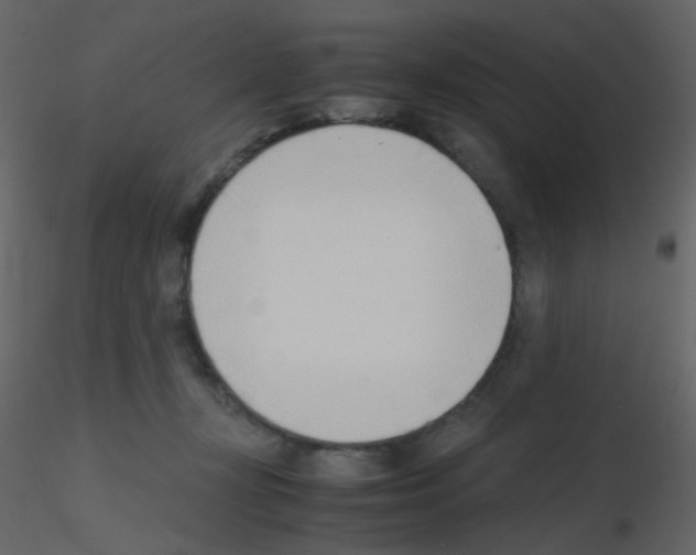 X0000115760367200912241734