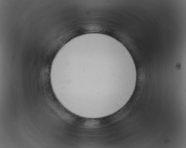 X0000115760369200912241734