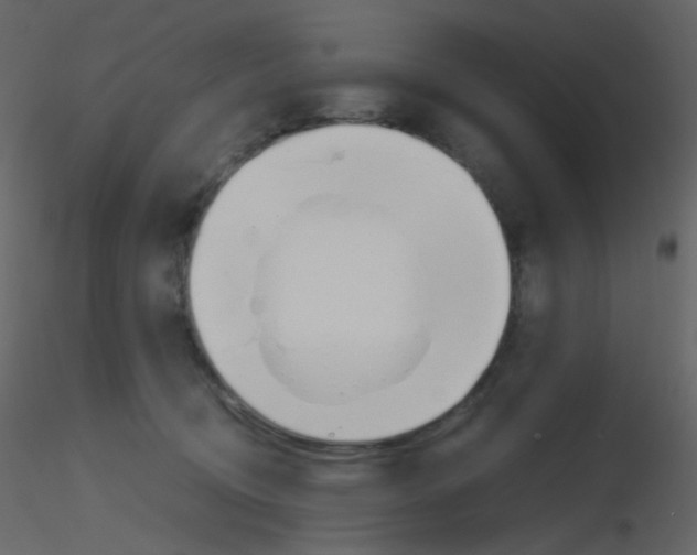 X0000115760370200912241734