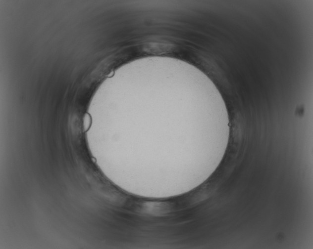 X0000115760371200912241734