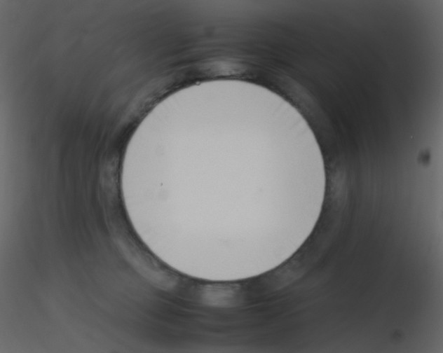 X0000115760373200912241734