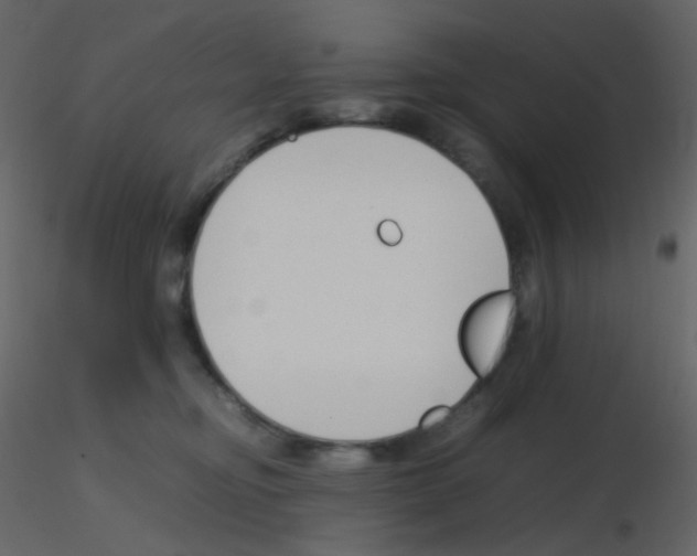 X0000115760374200912241734