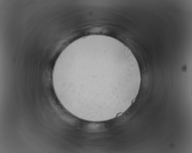 X0000115760375200912241734