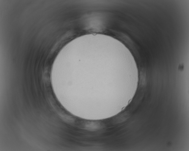 X0000115760377200912241734