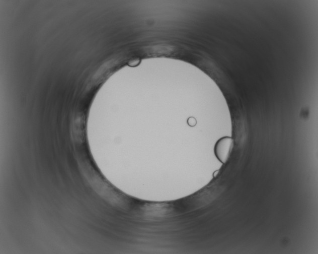 X0000115760378200912241734