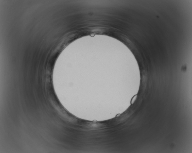 X0000115760379200912241734