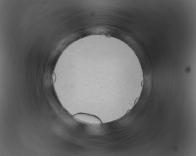 X0000115760381200912241734