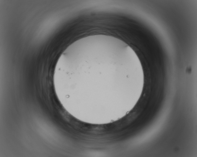X0000115760382200912241734