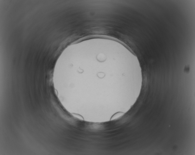 X0000115760383200912241734
