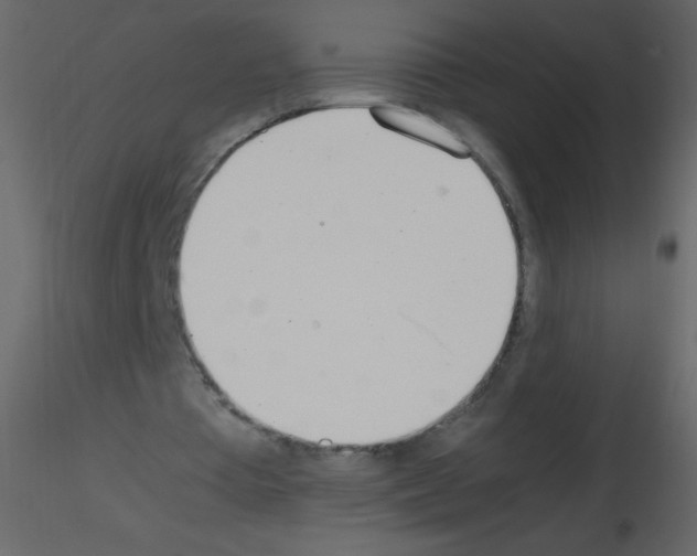 X0000115760385200912241733