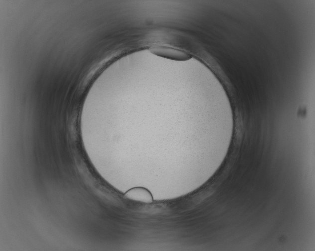 X0000115760386200912241733