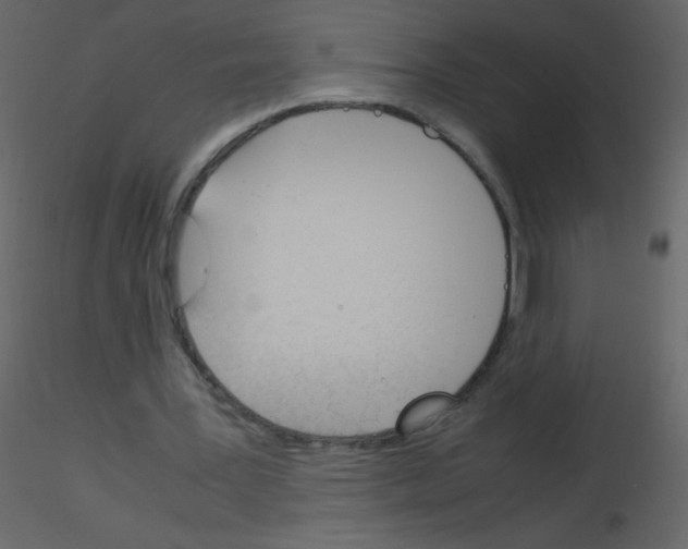 X0000115760387200912241733