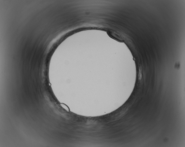 X0000115760388200912241733