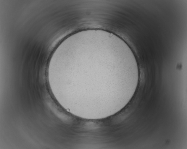 X0000115760390200912241733