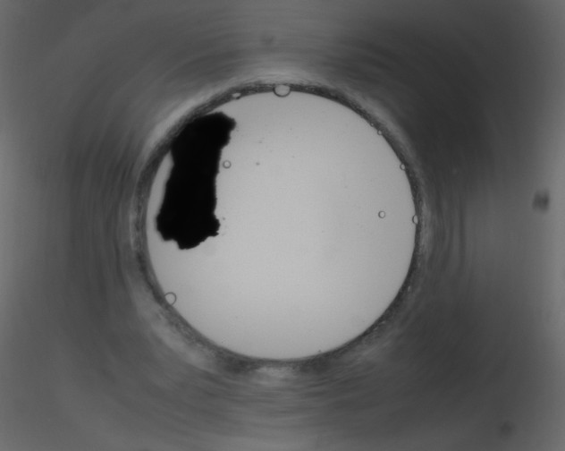 X0000115760391200912241733