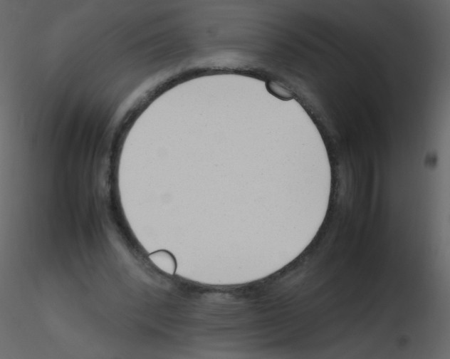 X0000115760392200912241733