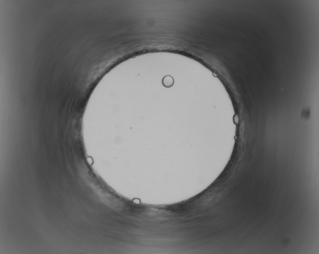X0000115760393200912241733