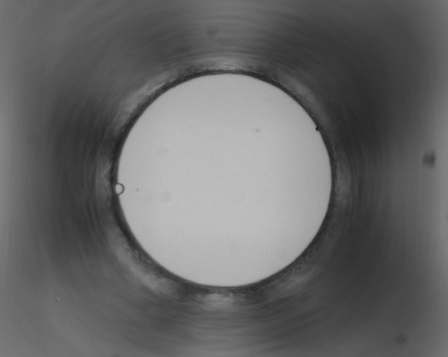 X0000115760394200912241733
