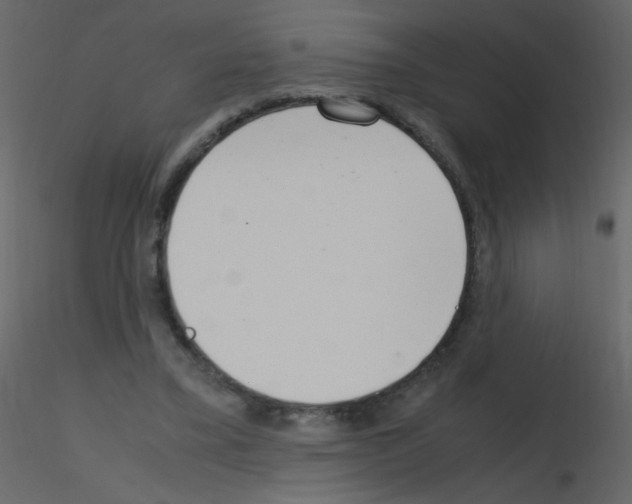X0000115760395200912241733