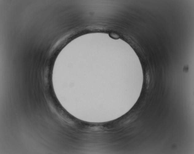 X0000115760396200912241733
