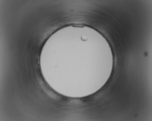 X0000115760397200912241733