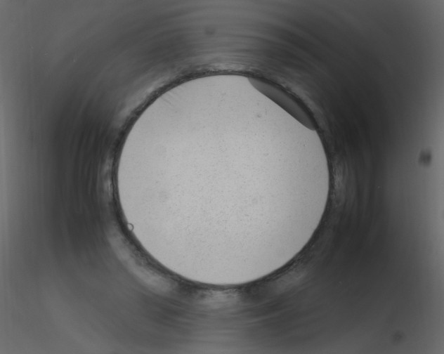 X0000115760398200912241733