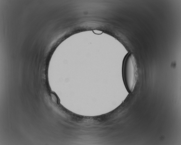 X0000115760399200912241733
