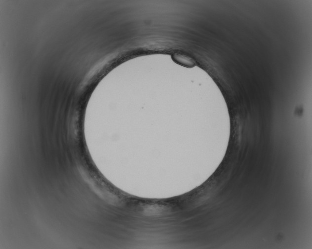 X0000115760400200912241733