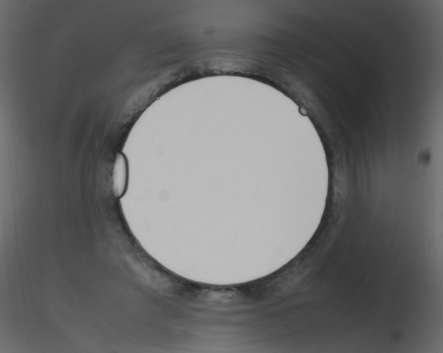 X0000115760401200912241733