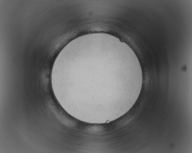 X0000115760402200912241733