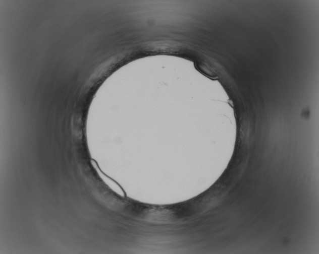 X0000115760403200912241733