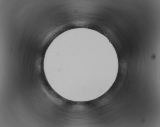 X0000115760404200912241733