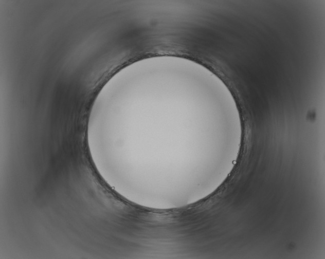 X0000115760405200912241733
