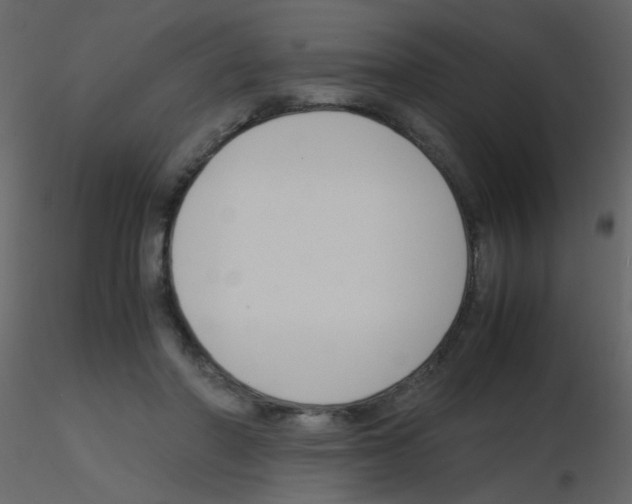 X0000115760406200912241733