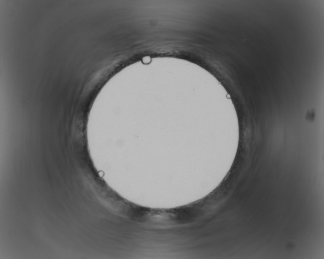 X0000115760407200912241733