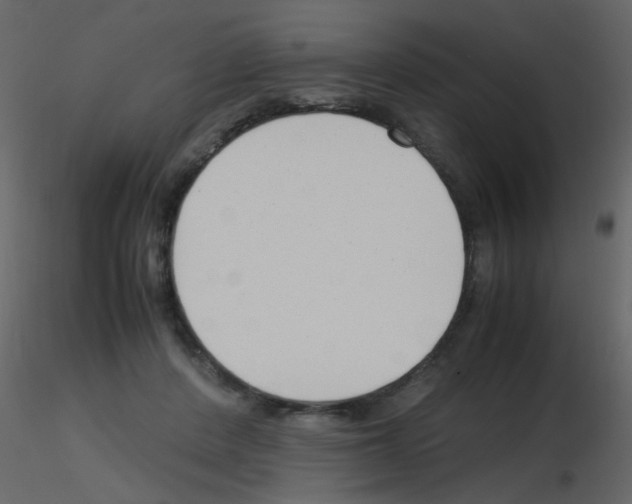 X0000115760408200912241733