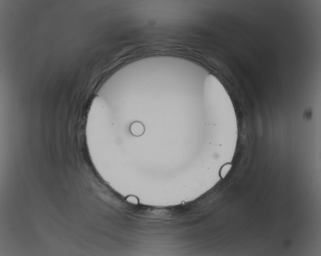 X0000115760409200912241733