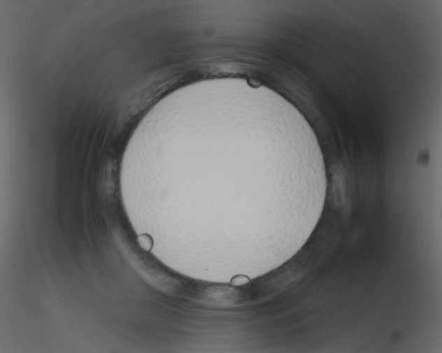X0000115760410200912241733