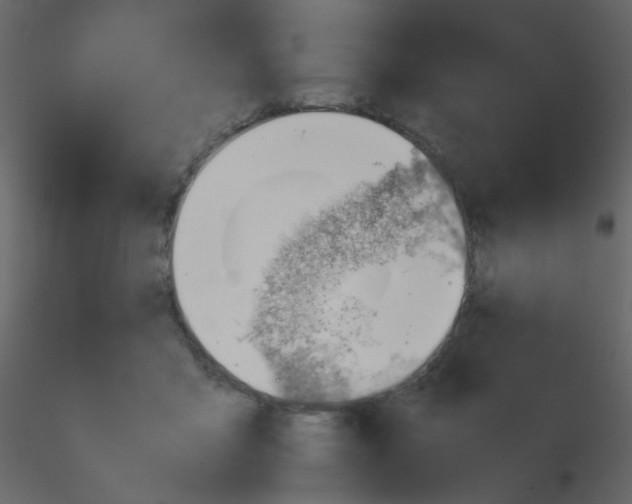X0000115760411200912241733