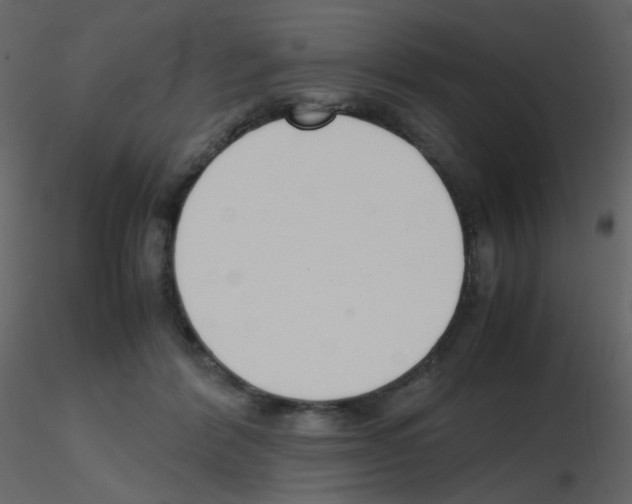 X0000115760412200912241733