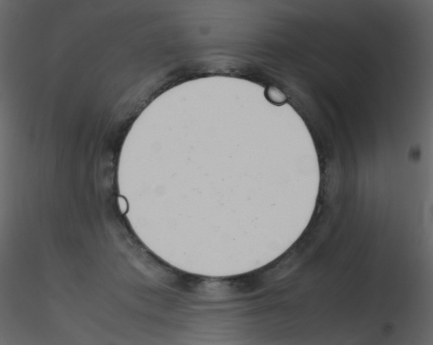 X0000115760413200912241733