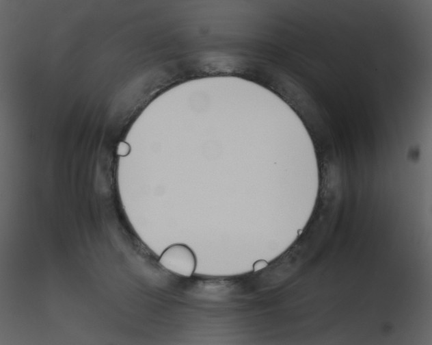 X0000115760414200912241733