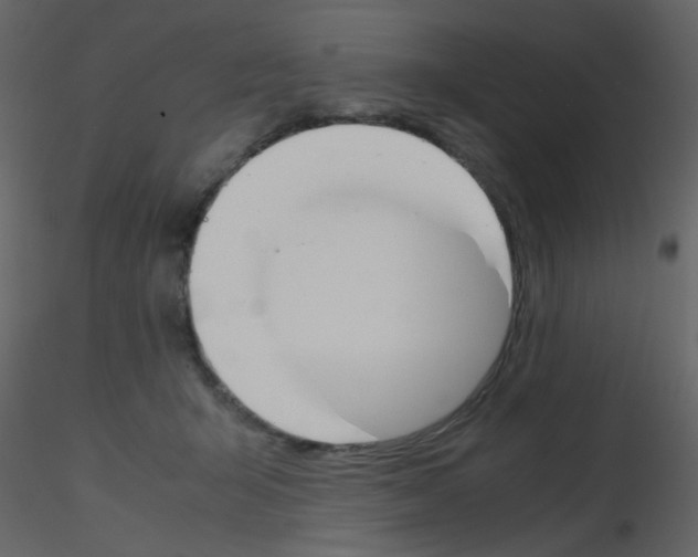 X0000115760415200912241733