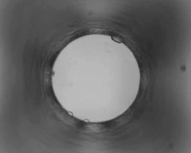 X0000115760417200912241733