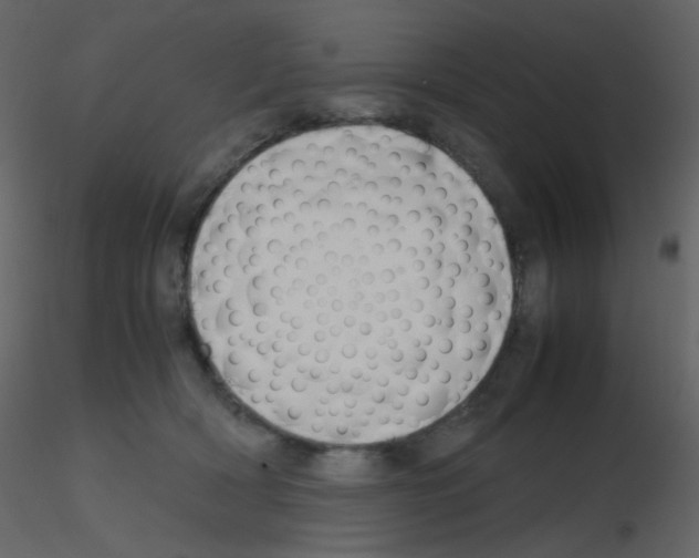 X0000115760418200912241733