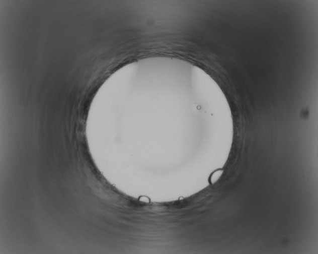 X0000115760419200912241733